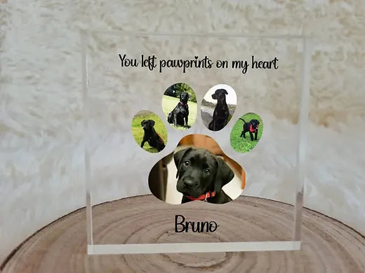 Personalised Pet Block